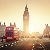 Прямые поставки брендовой одежды из Европы в Брянске и Брянской области