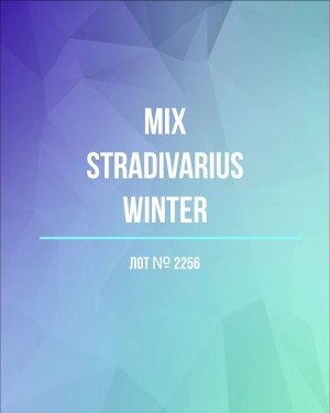 Купить STRADIVARIUS Winter mix#15 кг, ЛОТ №2256 оптом в Брянске и Брянской области