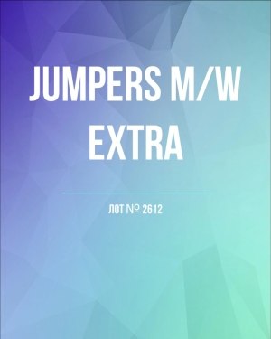 Купить Джемпер муж+жен экстра#15 кг , Лот№2612 оптом в Брянске и Брянской области