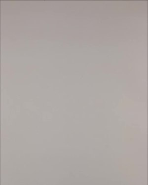 Фотография  226 - Нижнее белье Bon Prix дети#50 шт, ЛОТ №3242 оптом в Брянске и Брянской области