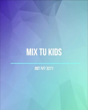 Купить TU Kids#8 кг, ЛОТ №3271 оптом в Брянске и Брянской области