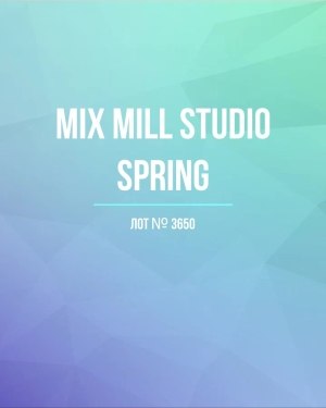 Купить MILL STUDIO Spring mix#15 кг, ЛОТ №3650 оптом в Брянске и Брянской области