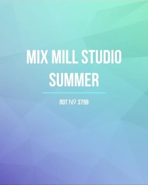 Купить MILL STUDIO Summer mix#15 кг, ЛОТ №3799 оптом в Брянске и Брянской области