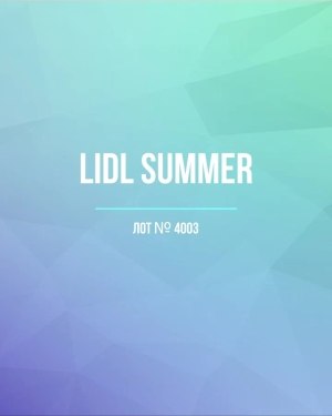 Купить LIDL Summer#20 кг, ЛОТ №4003 оптом в Брянске и Брянской области