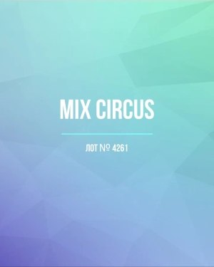 Купить CIRCUS mix #13 кг, ЛОТ №4261 оптом в Брянске и Брянской области