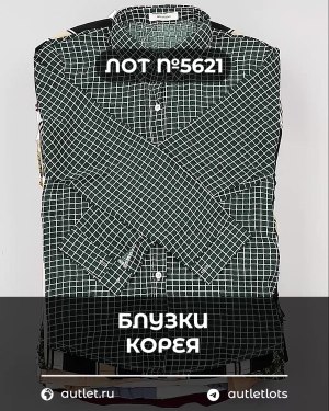 Купить Блузки Корея#20 шт, ЛОТ №5621 оптом в Брянске и Брянской области
