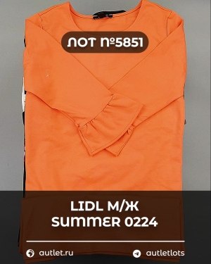 Купить LIDL Summer м/ж 022024#14 кг, ЛОТ №5851 оптом в Брянске и Брянской области