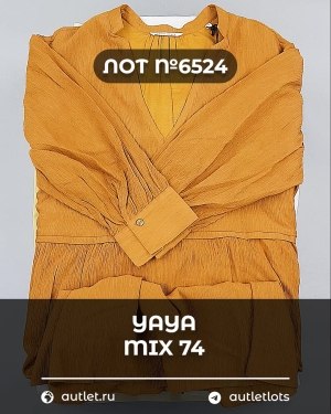 Купить YA YA 062024#39 шт, ЛОТ №6524 оптом в Брянске и Брянской области