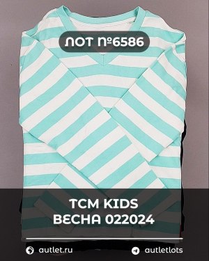 Купить TCM Kids весна 022024#7 кг, ЛОТ №6586 оптом в Брянске и Брянской области