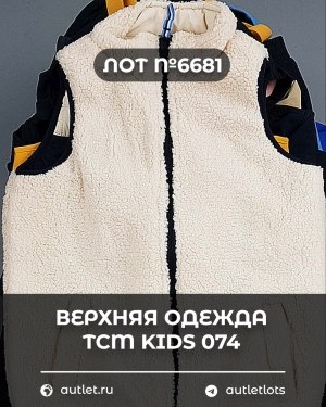Купить Верхняя одежда TCM kids 074#7 кг, ЛОТ №6681 оптом в Брянске и Брянской области