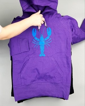 Фотография 818 - Толстовки м/ж (Sweat Tops)#20 кг, ЛОТ №7431 оптом в Брянске и Брянской области