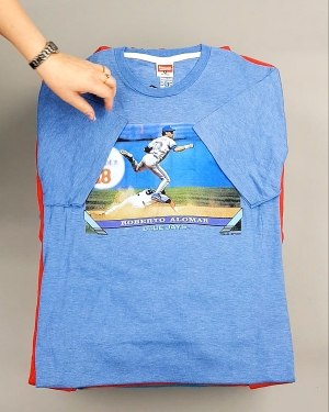 Фотография  316 - HOMAGE CAN 084#10 кг, ЛОТ №7499 оптом в Брянске и Брянской области