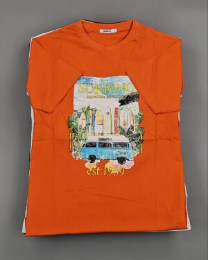 Купить Футболки мужские C-3141 (MEN T-shirt Sorbino) #4,8 кг оптом в Брянске и Брянской области