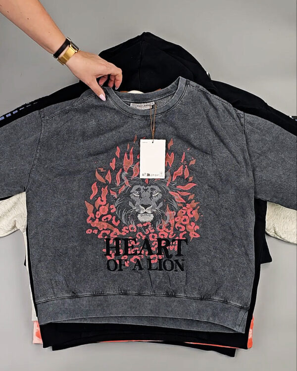 Фотография  166 - Толстовки Bestseller+DK 035#7 кг, ЛОТ СТ-9839 оптом в Брянске и Брянской области